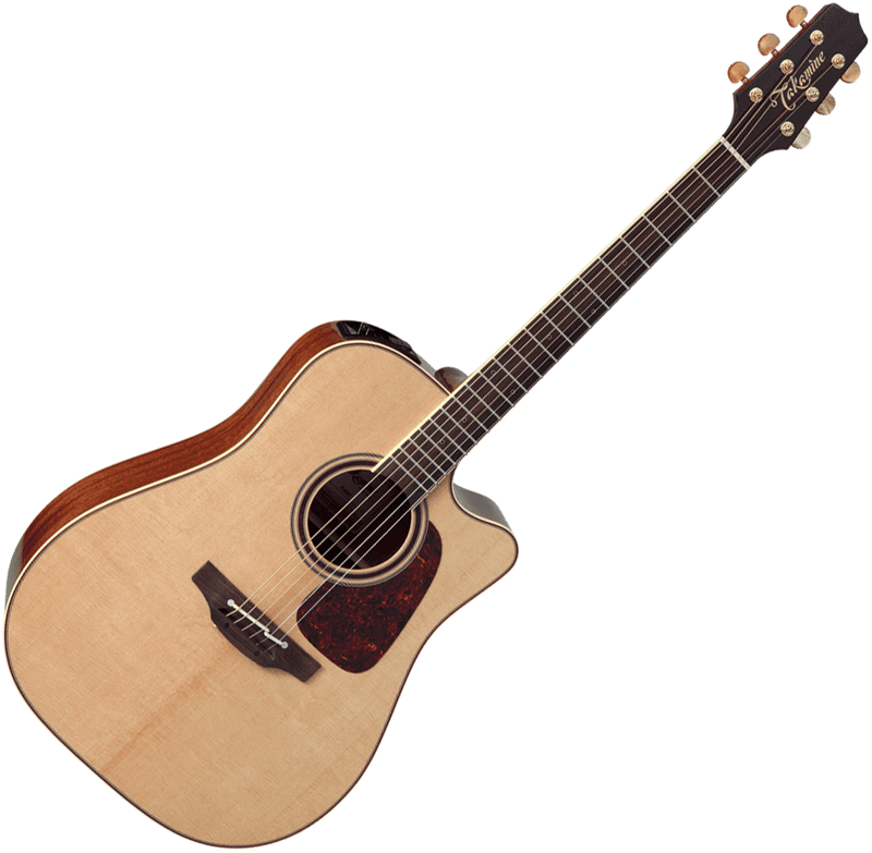 TAKAMINE P4DC