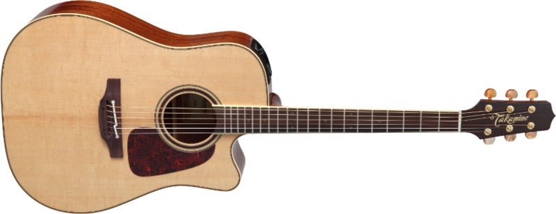 TAKAMINE P4DC