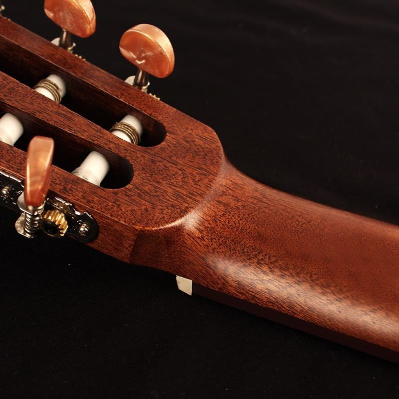 CORT AC120 TUNERS