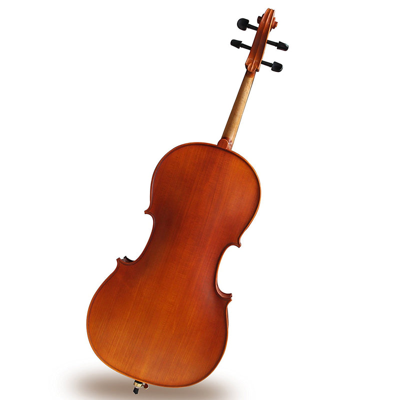 SANDNER MC2 MASTER 4/4 CELLO OUTFIT BACK